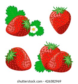 Ripe juicy berries of strawberry with leaves and flowers. Vector image.