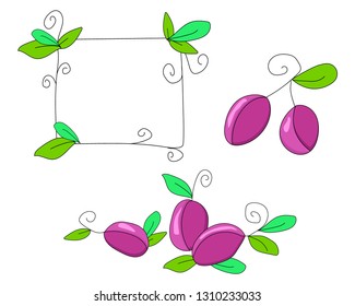 Ripe juicy blue plum, prunes-illustration in Doodle style. Simple flat berries and frame with green leaves isolated on white background