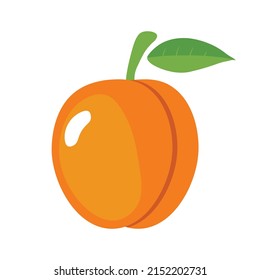 Ripe juicy cartoon apricot icon isolated on white background.
Healthy food concept. Healthy lifestyle. Vector illustration.