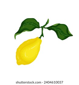 Ripe juicy citrus lemon fruit with green leaves.Vector graphics.