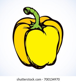 Ripe juicy fresh raw orange sappy bell annuum fruitful isolated on white backdrop. Bright lime color hand drawn picture sign sketchy in art scribble style. Closeup view with space for text