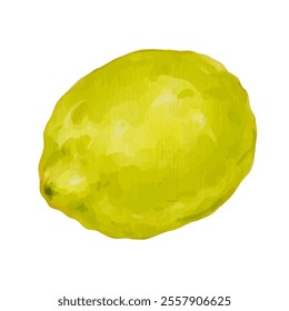 Ripe, juicy fruits of citrus fruit lemon. Vector graphics.