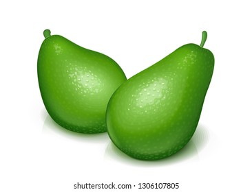 Ripe, juicy green avocado. Realistic tropical fruit. Natural fruits. Product for fresh eat. Organic food. Isolated white background. Eps10 vector illustration.