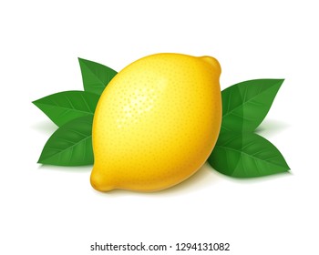 Ripe, juicy lemon with green leaf. Realistic tropical fruit. Natural citrus. Product for fresh lemonade. Organic food. Isolated white background. EPS10 vector illustration.