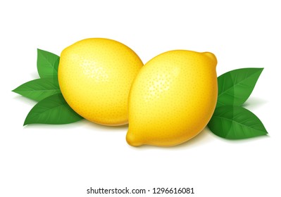 Ripe, juicy lemon with green leaf. Realistic tropical fruit. Natural citrus. Product for fresh lemonade. Organic food. Isolated white background. Eps10 vector illustration.