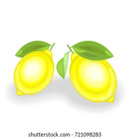 Ripe juicy lemons. Two ripe fruits. Aromatic treat. The source of vitamins and trace elements. Vector illustration.