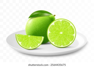 Ripe juicy lime on a white plate isolated on a transparent background. Whole lime fruits and sliced. Healthy vitamin food. Realistic 3d vector illustration