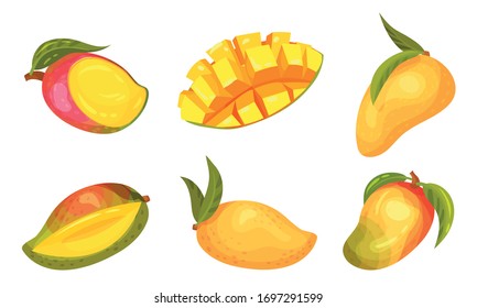 Ripe and Juicy Mango Fruit with Sweet Flesh Vector Set