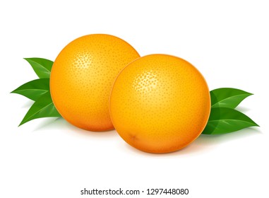 Ripe, juicy orange with green leaf. Realistic tropical fruit. Natural citrus. Product for fresh juice. Organic food. Isolated white background. Eps10 vector illustration.