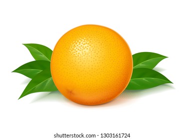 Ripe, juicy orange with green leaf. Realistic tropical fruit. Natural citrus. Product for fresh juice. Organic food. Isolated white background. Eps10 vector illustration.