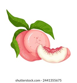 Ripe, juicy peach fruits and fruit pieces. Vector graphics.