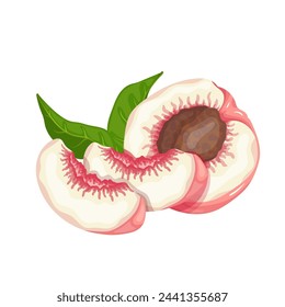 Ripe, juicy peach fruits and fruit pieces. Vector graphics.