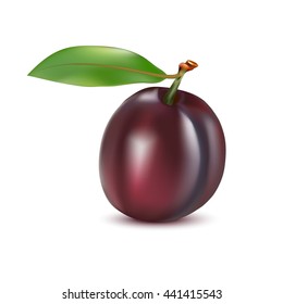 Ripe, juicy plum with stalk and green leaves with shadow. Realistic vector illustration isolated on white background.