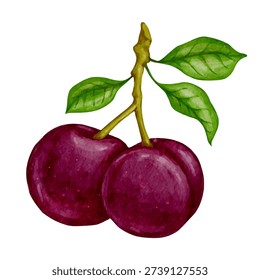 Ripe, juicy plum. Vector graphics.