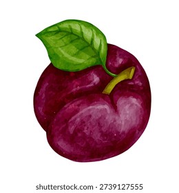 Ripe, juicy plum. Vector graphics.