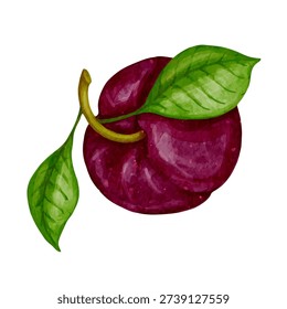 Ripe, juicy plum. Vector graphics.