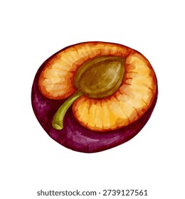 Ripe, juicy plum. Vector graphics.