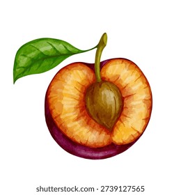 Ripe, juicy plum. Vector graphics.