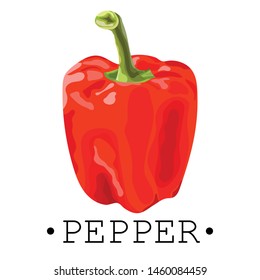 Ripe, juicy, red bell pepper. Summer vegetable. Sticker, promotional material, label, print, icon, banner, poster. Vector illustration.