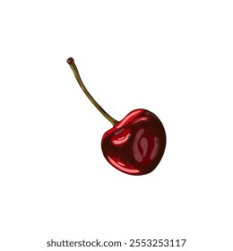 Ripe, juicy, red cherry with stalk. Sweet berry. Summer, garden harvest. Decorative design element. Great for desserts. Organic, fresh, natural. Vector illustration isolated on white background.