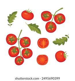 Ripe juicy tomatoes on a branch.Set of whole and cut fruits with leaves.Colorful vector design isolated on white background.Farm organic harvest.Vegetables illustration for use in banner template,card