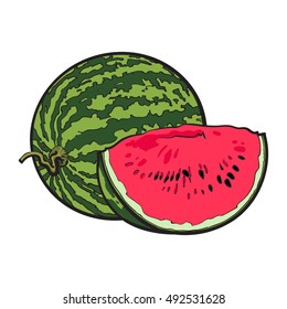 Ripe and juicy watermelon, vector illustration isolated on white background. Drawing of fresh watermelon, whole and a slice, vegetarian snack