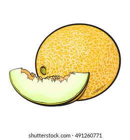 Ripe and juicy yellow melon, vector illustration isolated on white background. Drawing of fresh melon, muskmelon, cantaloupe - whole and a slice