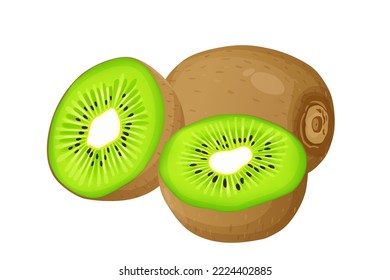 Ripe kiwi fruit and half kiwi fruit isolated on white background. Vector eps 10., perfect for wallpaper or design elements