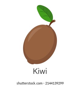 Ripe kiwi fruit isolated on white background. Vector illustration in flat style