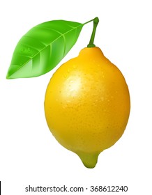 Ripe lemon with leaf and water drops. Vector illustration.