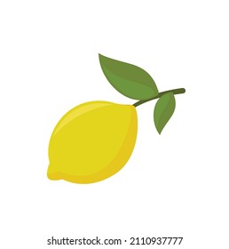 ripe lemon on a branch with leaves isolated on white background