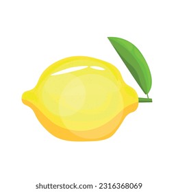 Ripe lemon on white background