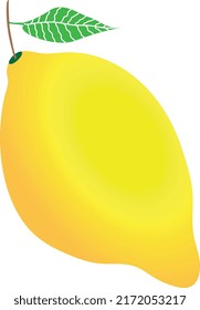 Ripe lemon. Vector illustration. Isolated lemon with leaf. White background 