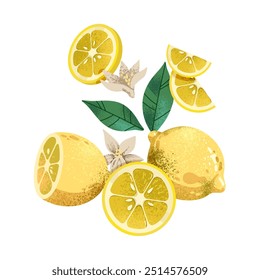Ripe Lemons with leaves and flowers with noise texture. Isolated vector on white background