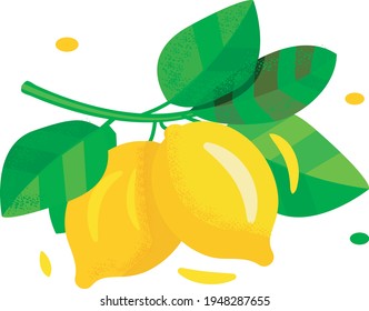 ripe lemons on a green branch with leaves