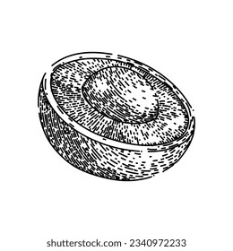 fruto maduro de longan extraído a mano. naturaleza fresca, vegetal tropical, thailand natural maduro tracto vectorial de frutos. ilustración negra aislada