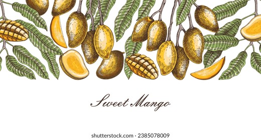 Fondo de mango maduro. Ilustración vectorial hecha a mano de fruta tropical. Plantas exóticas con fruta, hojas, ramas esbozadas en color. Pancarta de veraneo, acondicionamiento de jugos y menú. 