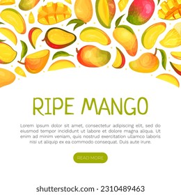 Reife Mango-Banner-Design mit heller tropischer Frucht-Vektorvorlage