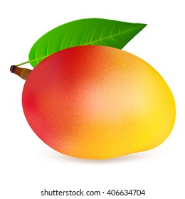 Ripe mango fruit with leaf isolated on white background. Realistic vector illustration.