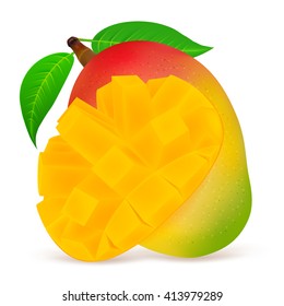 Ripe mango fruit with slice isolated on white background. Realistic vector illustration.