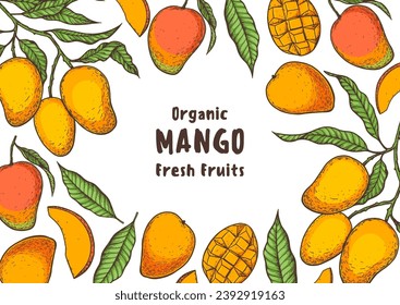 Mango maduro. Ilustración vectorial dibujada a mano.  Fruta tropical. Diseño de empaque, diseño de menú, empaque de jugo. Marco de mango.