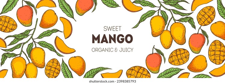 Mango maduro. Ilustración vectorial dibujada a mano. Fruta tropical. Diseño de empaque, diseño de menú, empaque de jugo. Marco de mango.