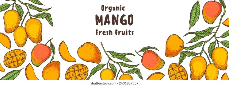 Mango maduro. Ilustración vectorial dibujada a mano. Fruta tropical. Diseño de empaque, diseño de menú, empaque de jugo. Marco de mango.