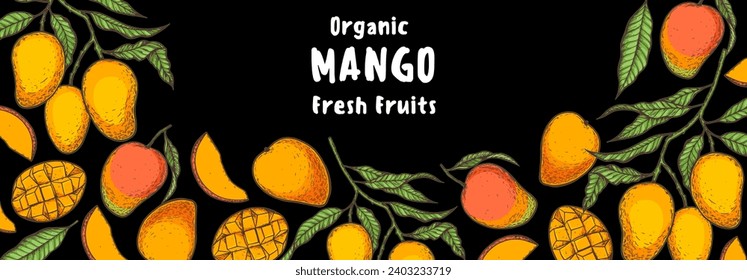 Ripe mango. Hand drawn vector illustration. Tropical fruit. Packaging design, menu design, juice packaging. Mango frame.
