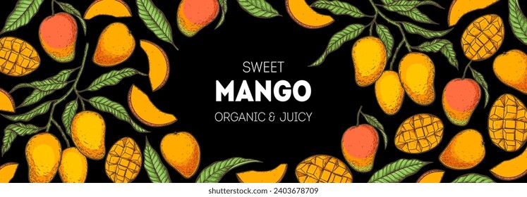 Mango maduro. Ilustración vectorial dibujada a mano. Fruta tropical. Diseño de empaque, diseño de menú, empaque de jugo. Marco de mango.