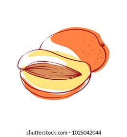 Ripe mango icon isolated on white background. Natural sweet eco food, healthy vegan nutrition, organic farming vector illustration