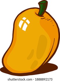 Ripe mango ,illustration,vector on white background