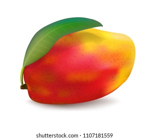 Ripe mango isolated on white background. Vector illustration.