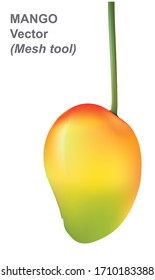 ripe mango isolated on white background Vector illustration with mesh tool