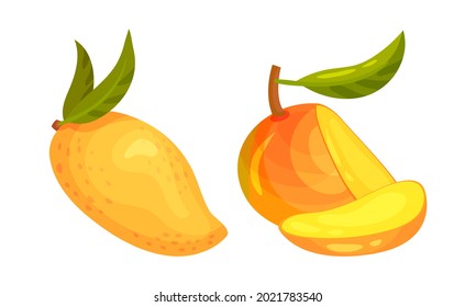 Ripe Mango Juicy Fruit Whole and Sliced Vector Set